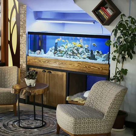 Zengin Hotel