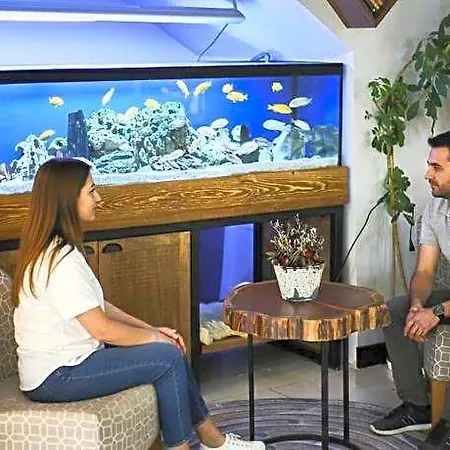 Zengin Κωνσταντινούπολη