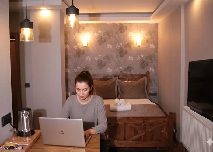 Ξενοδοχείο Zengin 4*